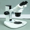 Stereo Microscope