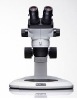 Stereo Microscope (Binocular)