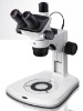 Stereo Microscope (Trinocular)