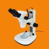 Stereomicroscope