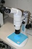 Stereoscopic Zoom Microscope