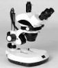 Stereozoom microscope With trinocular head