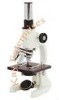 Student Microscope