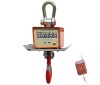 Supply heat proof crane scale