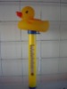 Swimming Thermometer