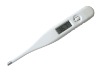 T12 waterproof thermometer