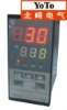 TE6 Digital Programmable temperature controllerler