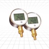 TP101/ digital temperature/pressure gauge