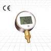 TP101/ digital temperature/pressure gauge