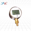 TP101/ digital temperature/pressure gauge