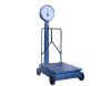 TZZ-250 Mechanical Scale 200-500kg 220V