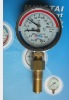 Temperature Pressure Thermometer