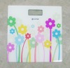 Tempered glass bathroom scale panel