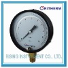 Test pressure gauge