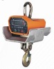 Thermal Protection Crane Scale