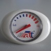 Thermometer