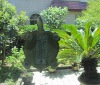 Tortoise shape Window Thermometer