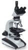 Transmission Polarizing microscope