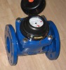 WATER METER