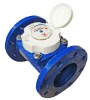 WOLTMANN Water Meters