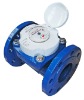 WOLTMANN Water Meters