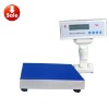 WT electronic analytical scale