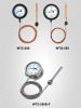 WTZ,WTQ electrical pressure pointing thermometer