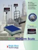 Weigh Bridge Indicator /Electronic Weighing Scale