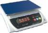 Weighing Bench Scale