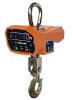 Weighing Crane system