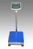 Weighing Platform Scale with welded steel base (Precision 1/15,000)