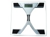 Weight Scale