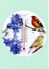 Window Thermometer with printing