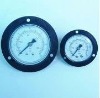 With flange common pressure gauge