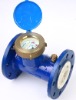 Wolman Water Meter (LXL-80F~400F)