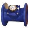 Woltman Removable Cold/Hot Water Meter