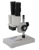 XT-2A-----stereo microscopes
