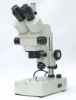 XTL-3400 SERIES ZOOM STEREO MICROSCOPE