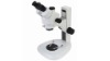 XTL Stereo Zoom Microscope