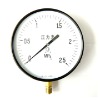 Y-200 pressure gauge