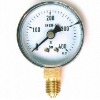 Y50 Common Pressure gauge