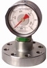 YK- 150F Flange Type Mud Pressure Gauge