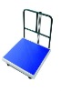 YS-TCS eletronic platform scale with rail