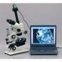 Zeiss Microimaging Carl Zeiss Microscopy Stemi Dv4 Stereo Microscope