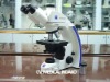 Zeiss Primo Star Trinocular Biological Microscope