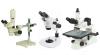 Zoom Stereo Microscope