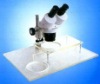 Zoom Stereo Microscope /TV Microscope/ Wide-field Microscope