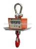anti-heat crane scale