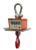 anti-heat digital crane scale
