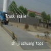 axle load truck scale